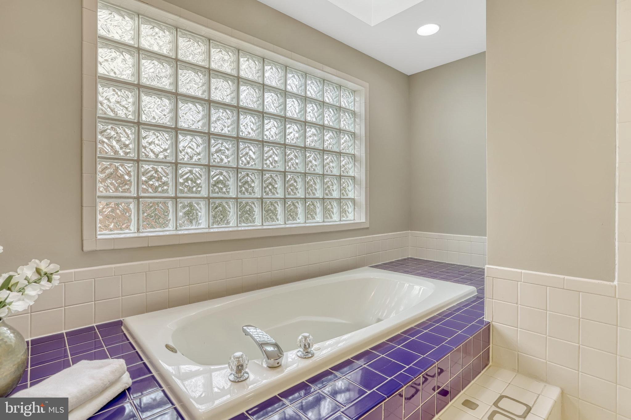 826 West Braddock Road Alexandria, VA 22302 - Photo 33 of 56 a bath tub sitting in a bathroom next to a window