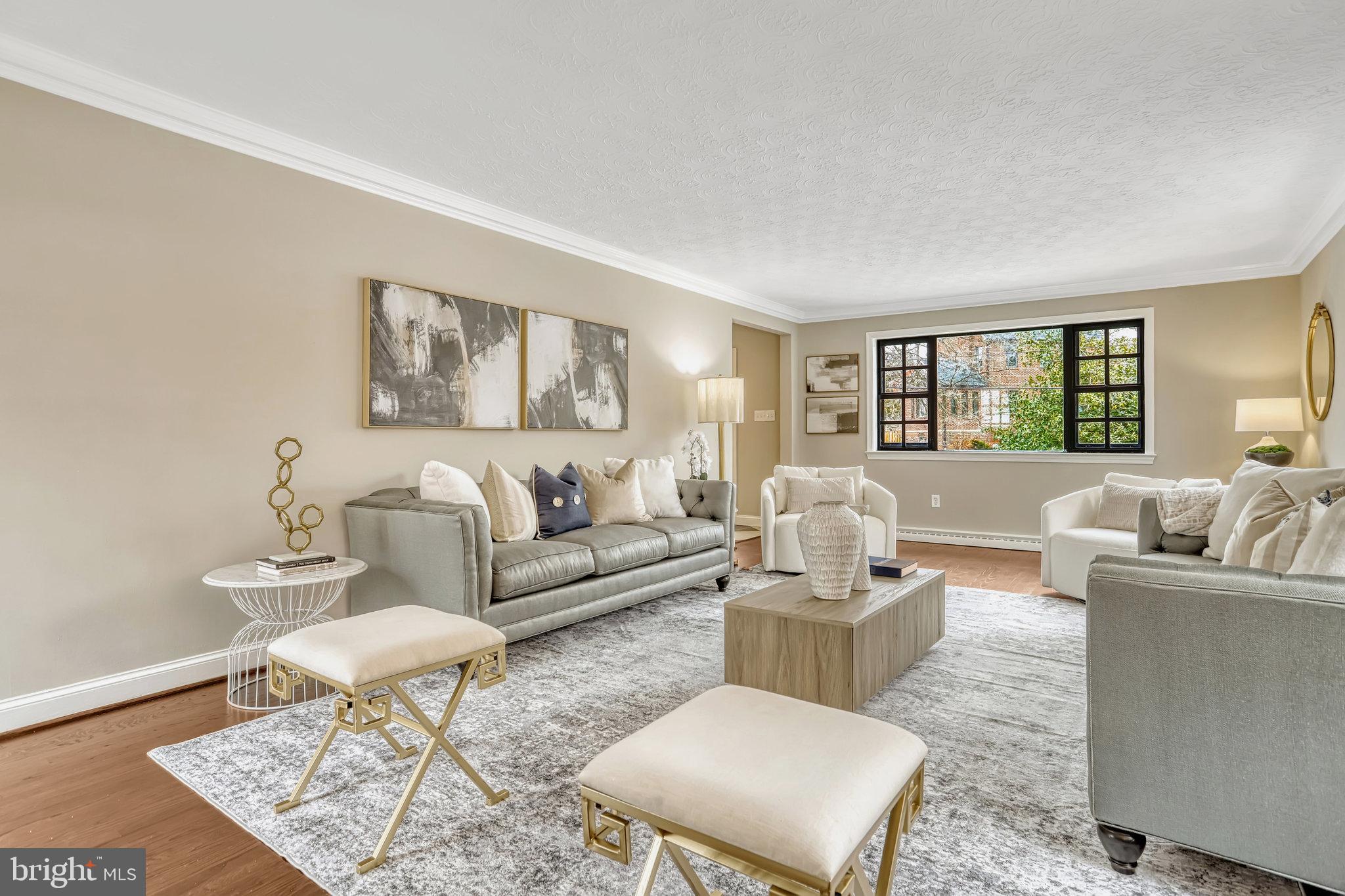 826 West Braddock Road Alexandria, VA 22302 - Photo 8 of 56 a living room with furniture and a rug