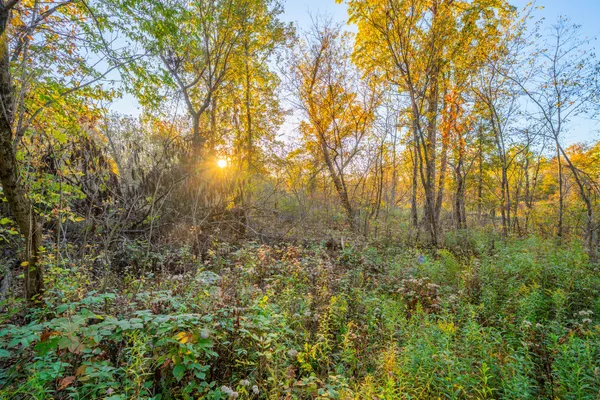 $109,900 | 8840 Houston Road, Eaton Rapids, MI 48827