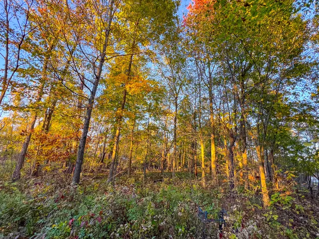 $120,000 | 8840 Houston Road, Eaton Rapids, MI 48827