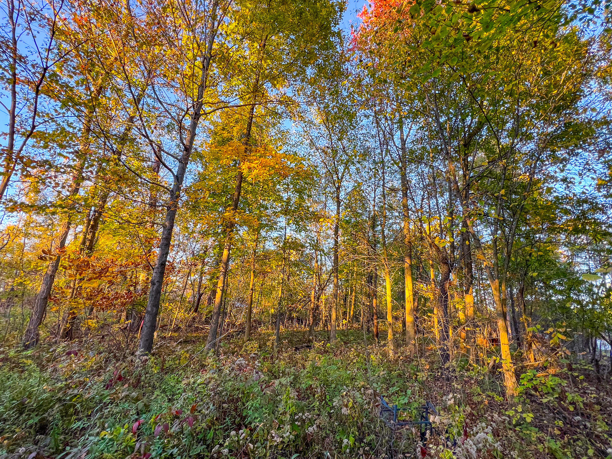 8840 Houston Road Eaton Rapids, MI 48827 - Photo 5 of 6 image_123650291 (5)