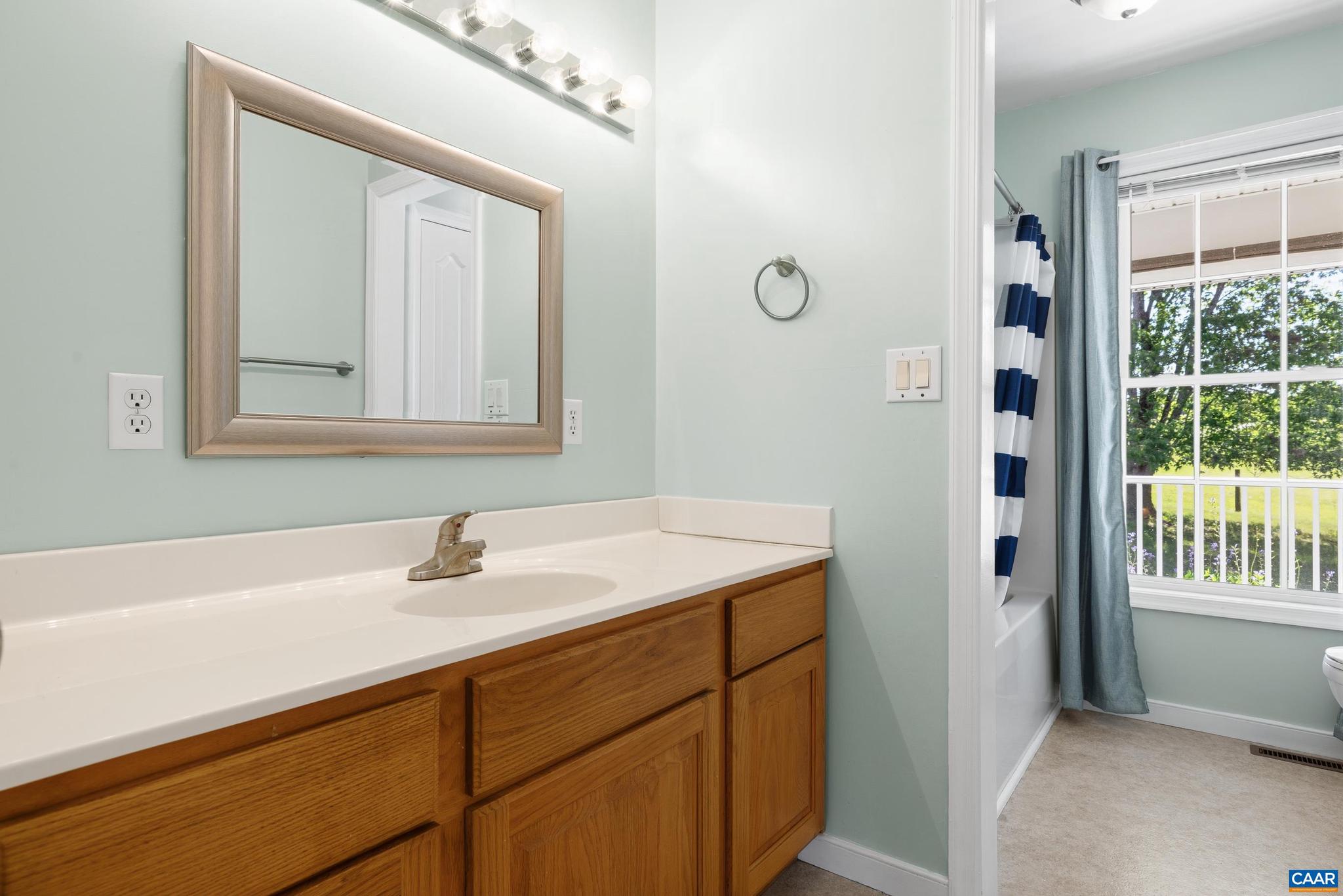 1075 Social Hall Road New Canton, VA 23123 - Photo 55 of 64 a bathroom with a sink and a mirror