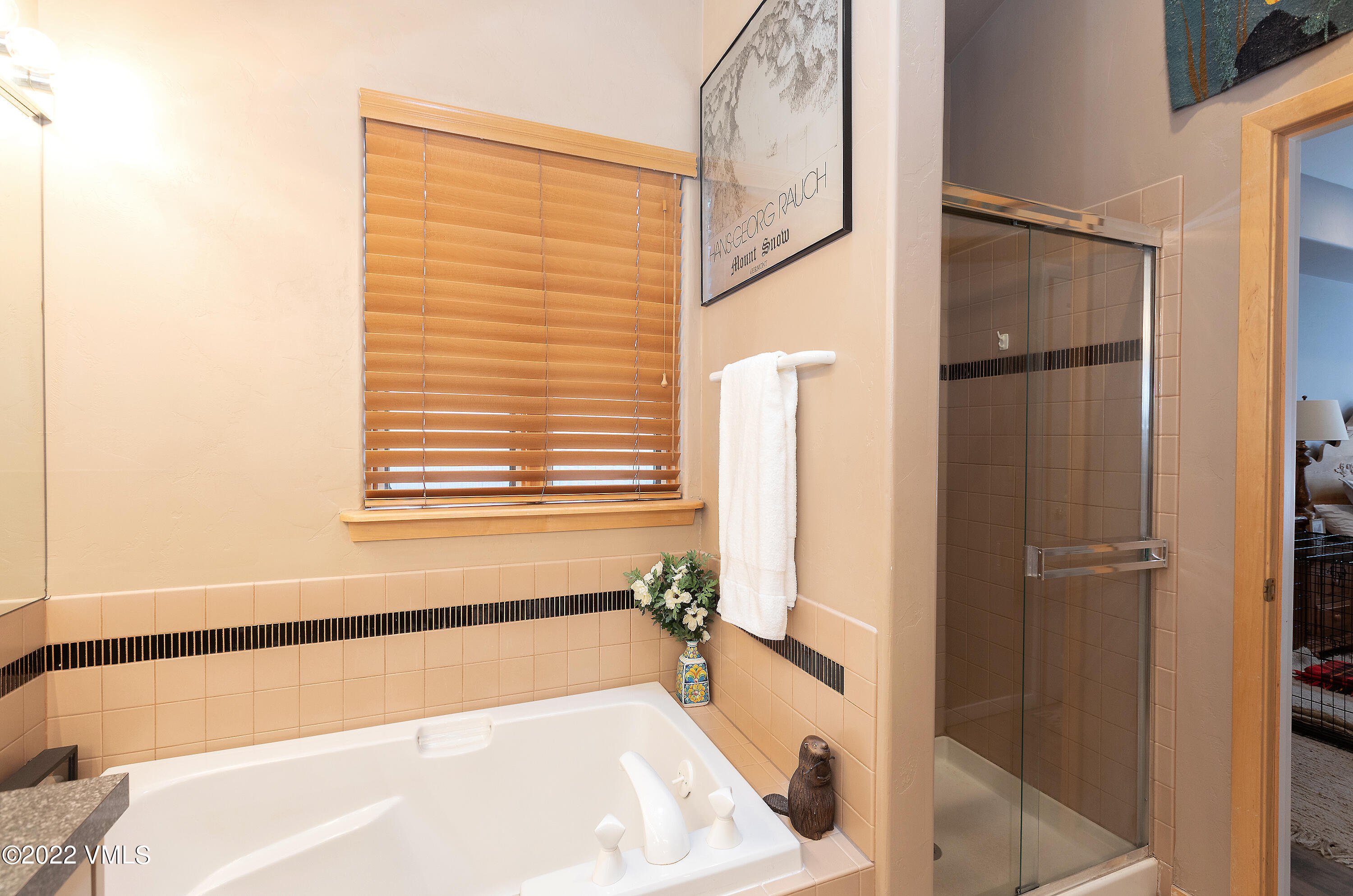 1850 South Frontage Road West, Unit 3 Vail, CO 81657 - Photo 13 of 28 a bathroom with a bathtub and a shower