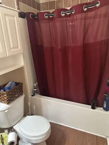 a white toilet sitting next to a shower curtain