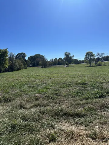 a view of a field with an ocean