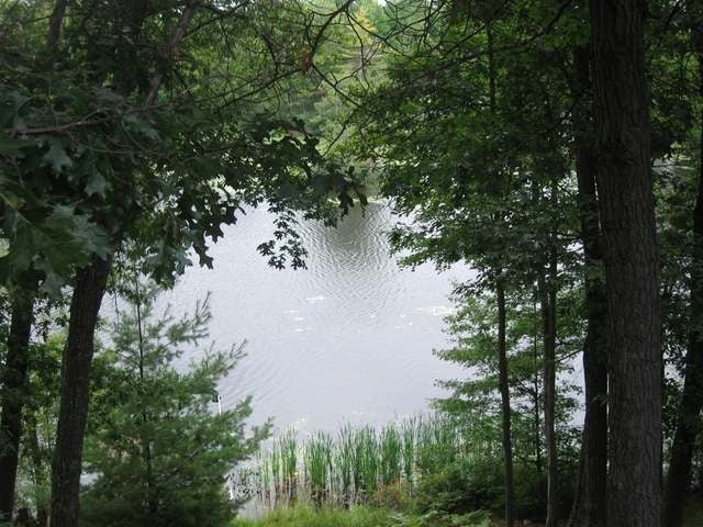4020 Sandy Bluff Road Rhinelander, WI 54501 - Photo 2 of 20 Gallery Image 2