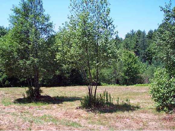 0 Sodom Road Tuftonboro, NH 03850 - Photo 1 of 4