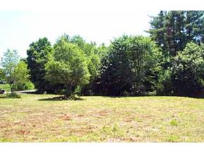 0 Sodom Road Tuftonboro, NH 03850 - Photo 4 of 4