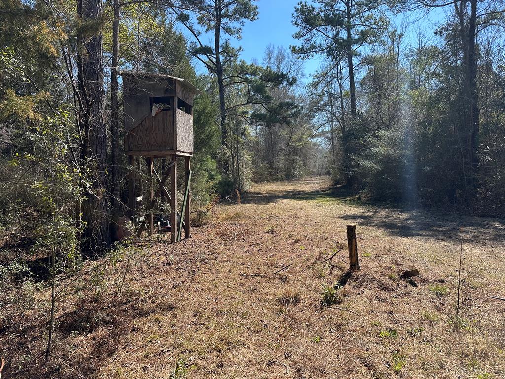Undisclosed Address Ariton, AL 36311 - Photo 13 of 17