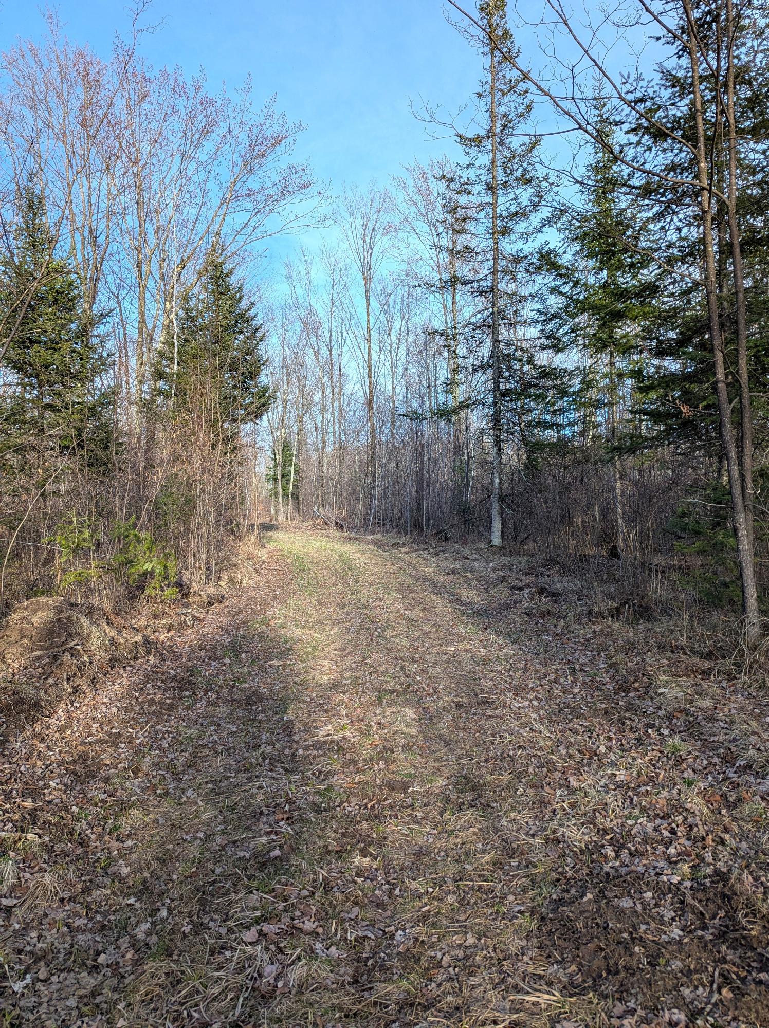 0 Cth X Prentice, WI 54556 - Photo 18 of 38 Gallery Image 18