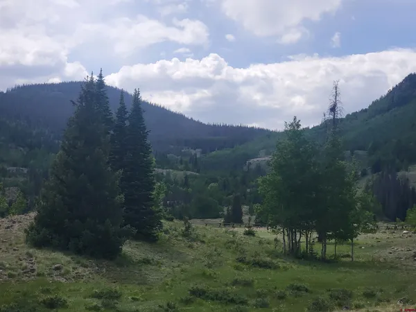 a view of a big yard