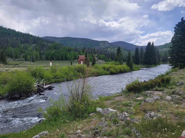 a view of a street with a yard and a lot of trees