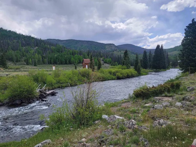 a view of a street with a yard and a lot of trees