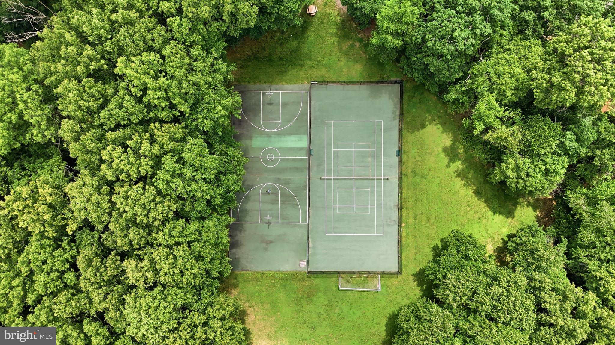 11260 Chestnut Grove Square, Unit 337 Reston, VA 20190 - Photo 67 of 82 Hidden courts amidst lush greenery.