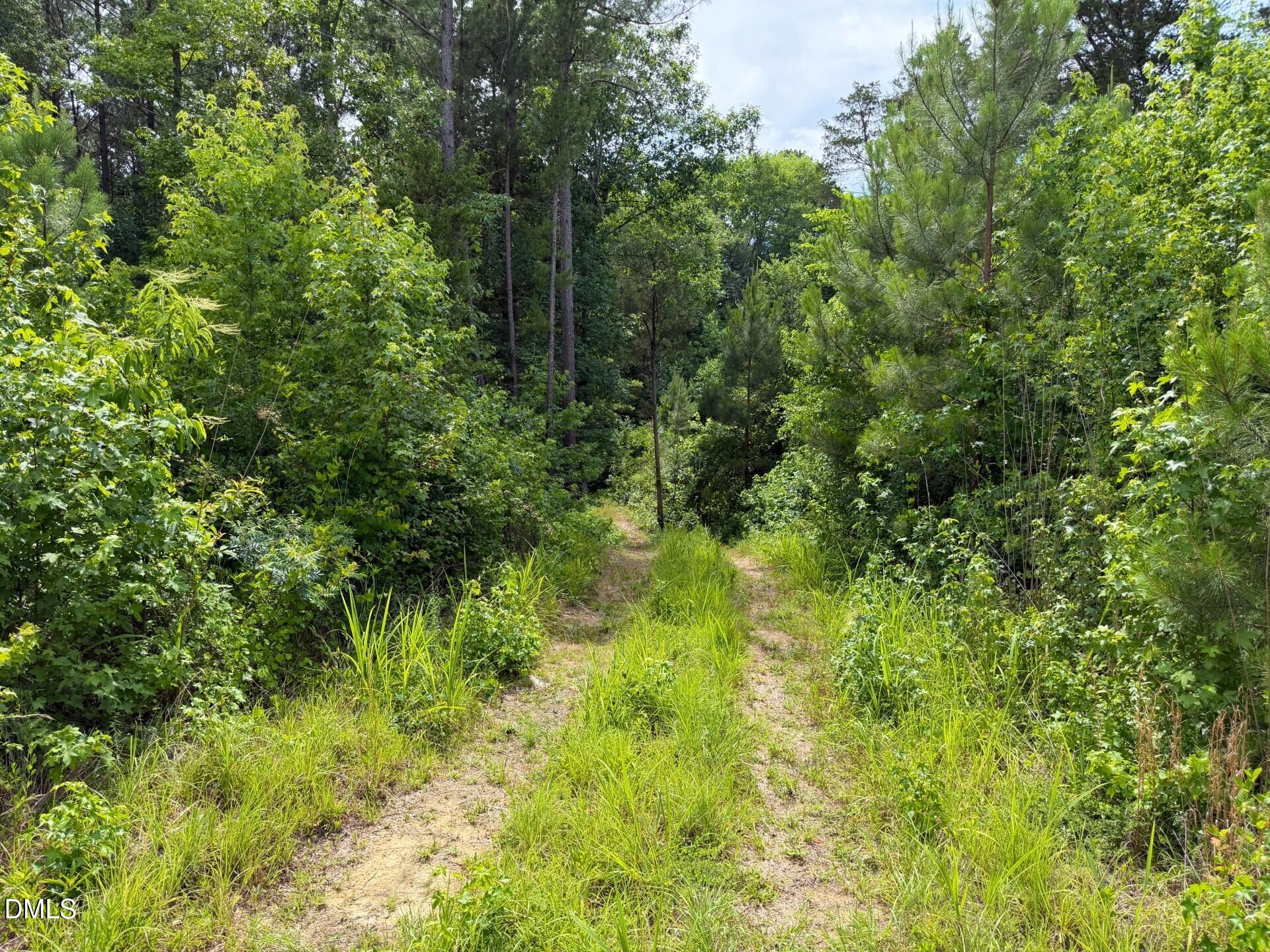 0 John Headen Road Moncure, NC 27559 - Photo 12 of 21