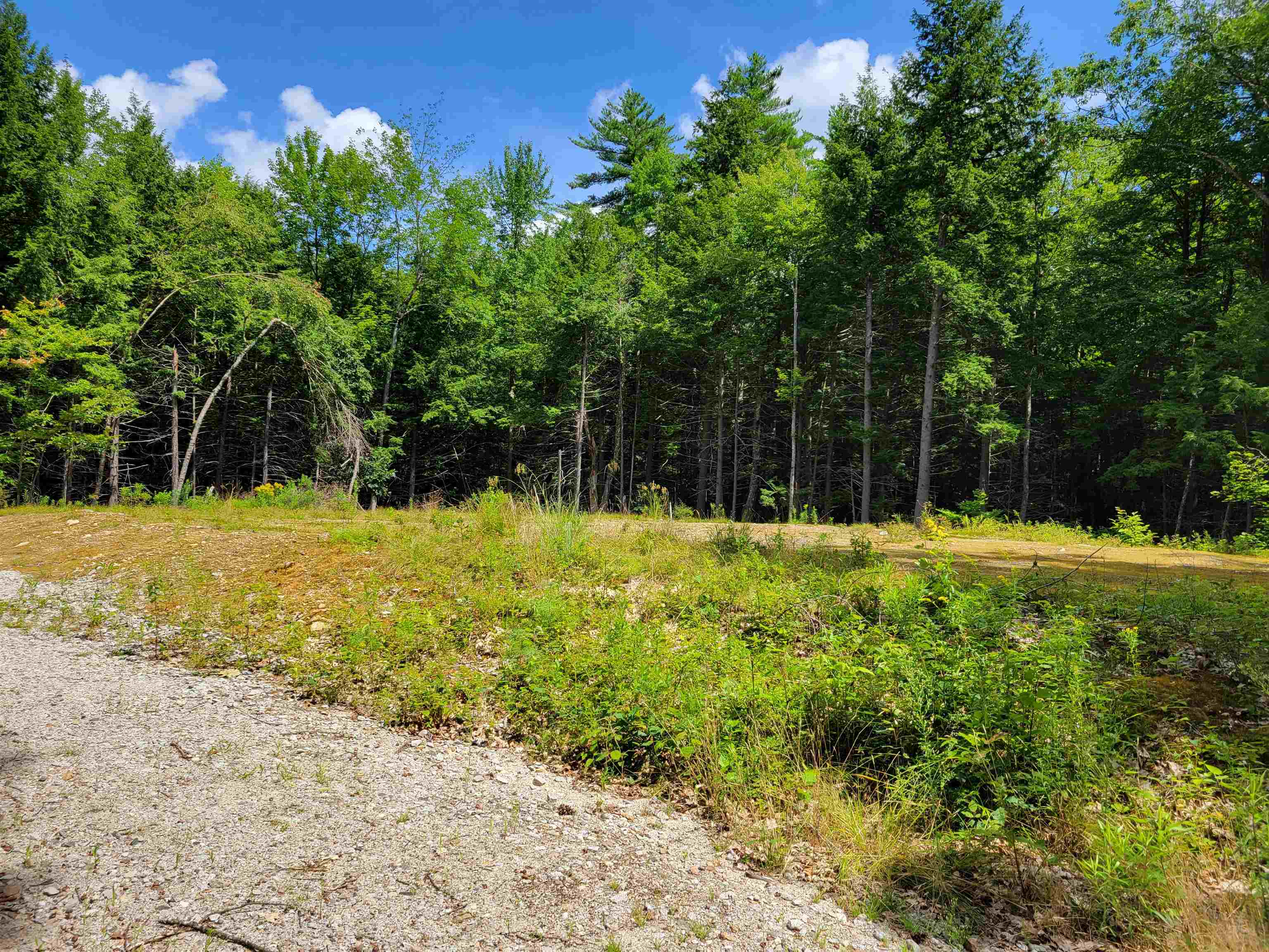 0 Ridge Road Madison, NH 03849 - Photo 4 of 5