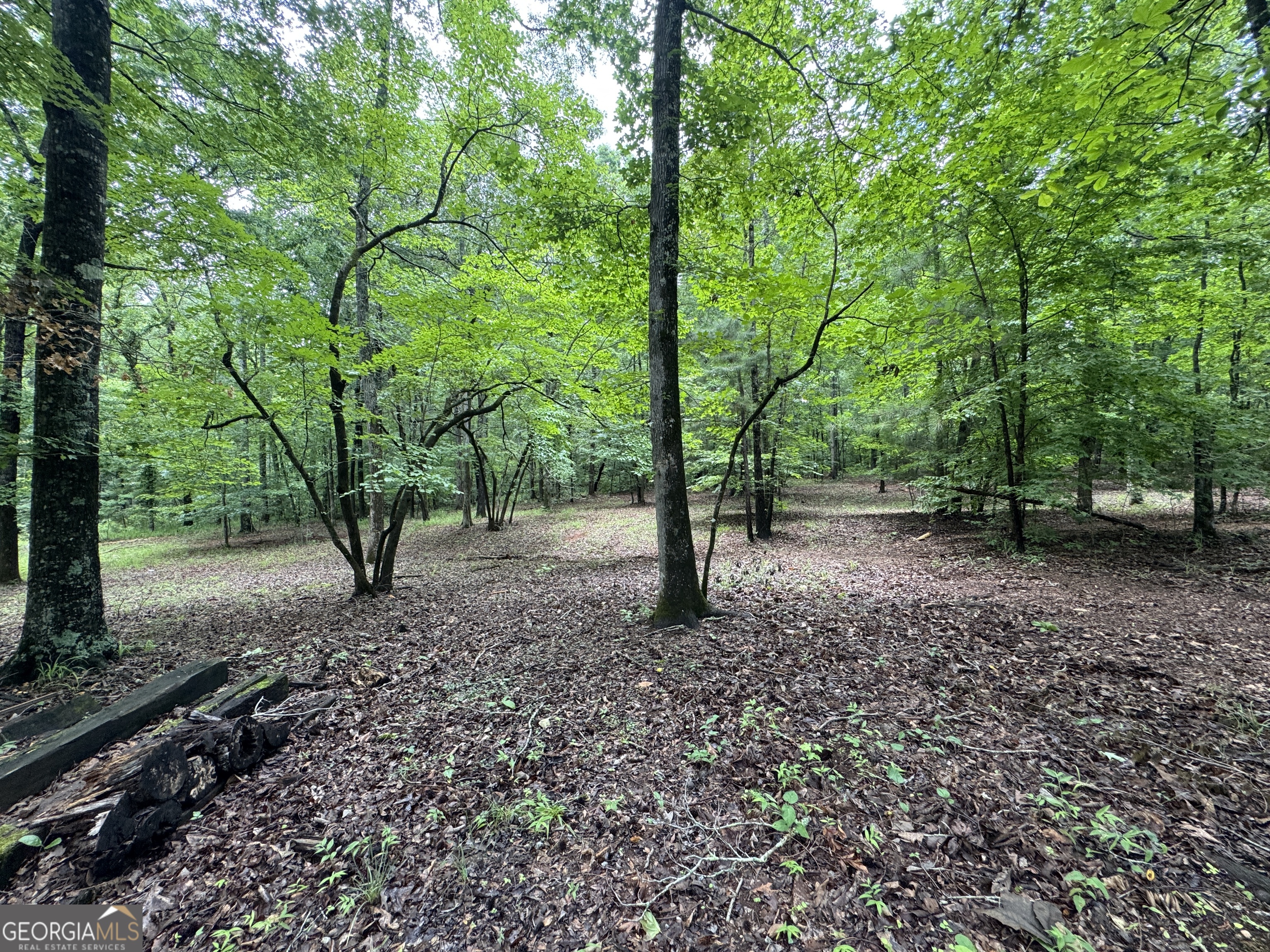 3413 Dames Ferry Road Forsyth, GA 31029 - Photo 9 of 23