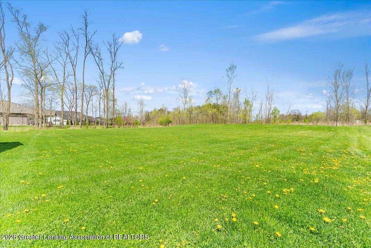 4580 Dimond Way Dimondale, MI 48821 - Photo 48 of 51 Back yard