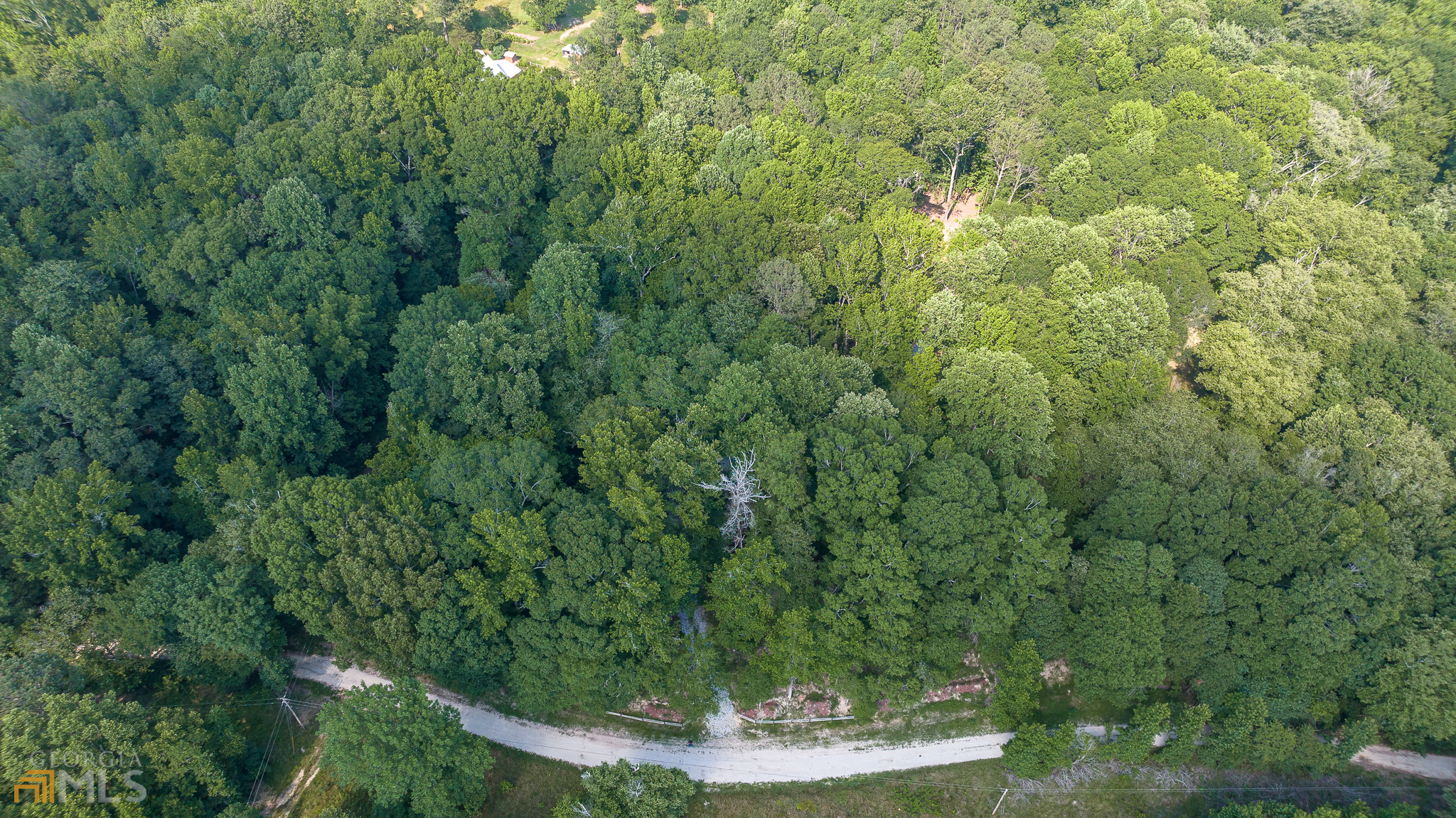 1 Grove Creek Road Lexington, GA 30648 - Photo 1 of 1 a view of a forest with a tree