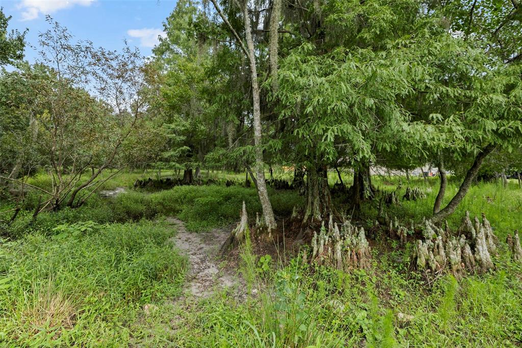 6930 Muck Pond Road Seffner, FL 33584 - Photo 6 of 30 Gallery Image 6