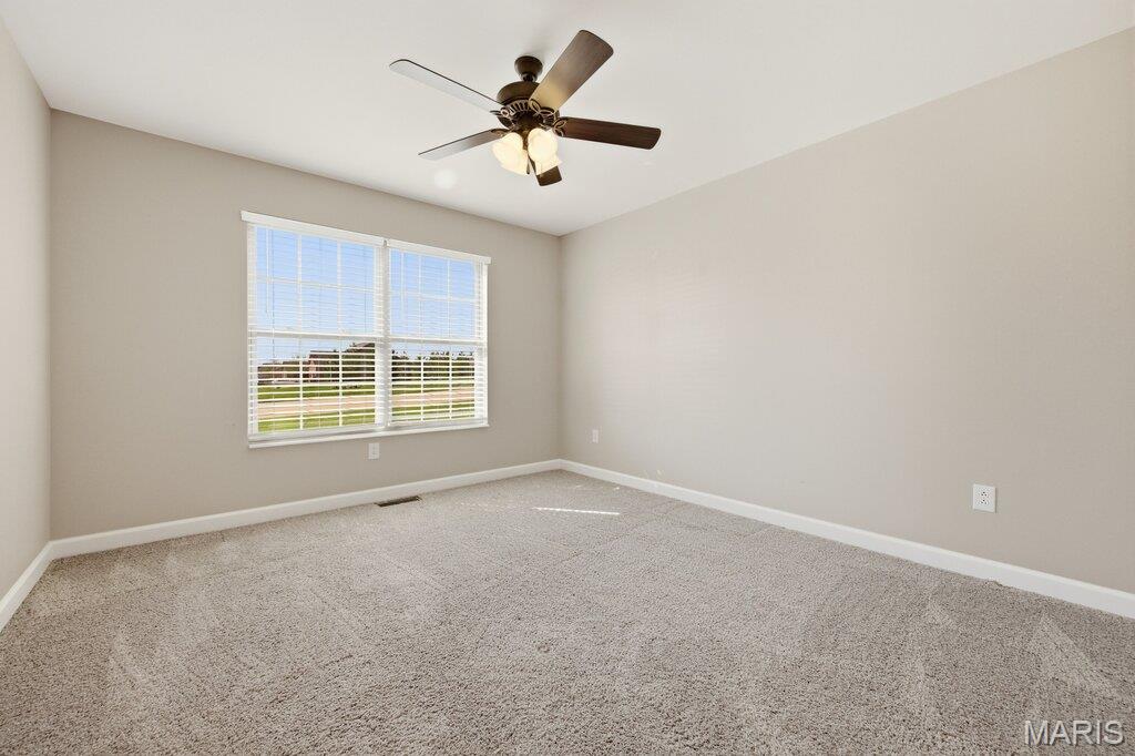 205 Crosswinds Court Waterloo, IL 62298 - Photo 33 of 59