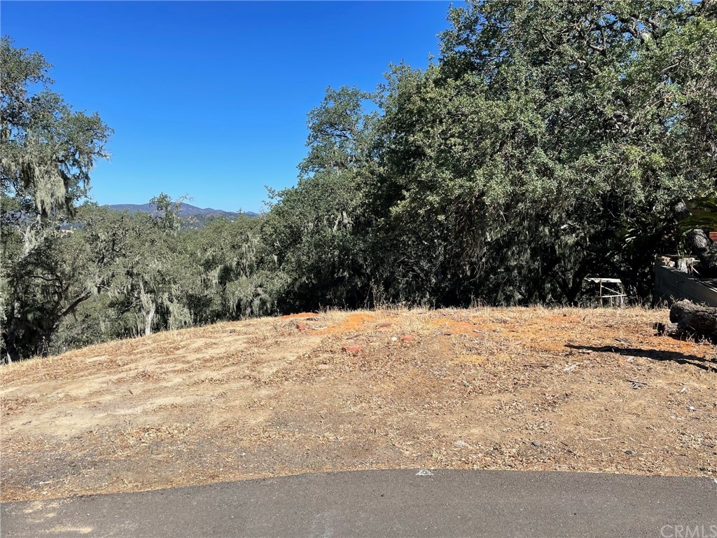 2169 Ridge Rider Road Bradley, CA 93426 - Photo 1 of 1 Gallery Image 1