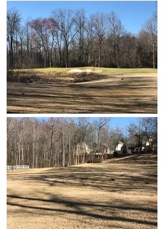 a view of yard with trees