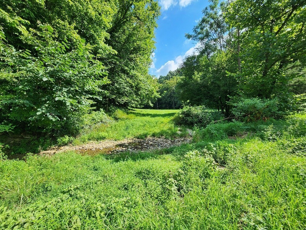 0 Taurus Farm Road Lafayette, TN 37083 - Photo 33 of 67 Gallery Image 33