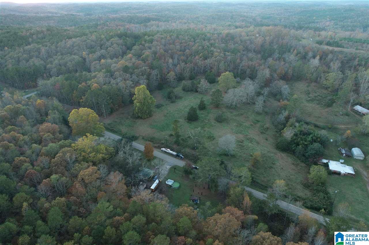 82 County Road Lineville, AL 36266 - Photo 2 of 4