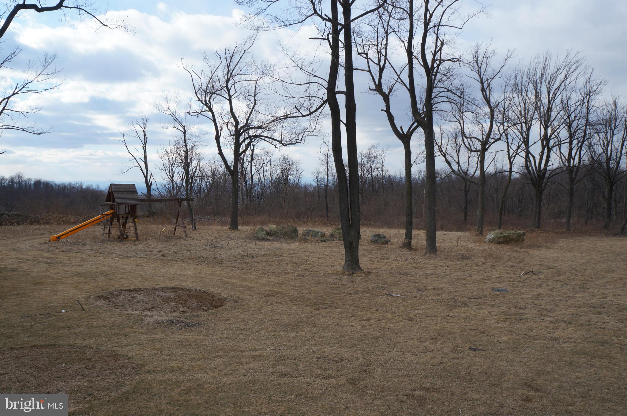 18521 Blue Ridge Mountain Road Bluemont, VA 20135 - Photo 4 of 30 View