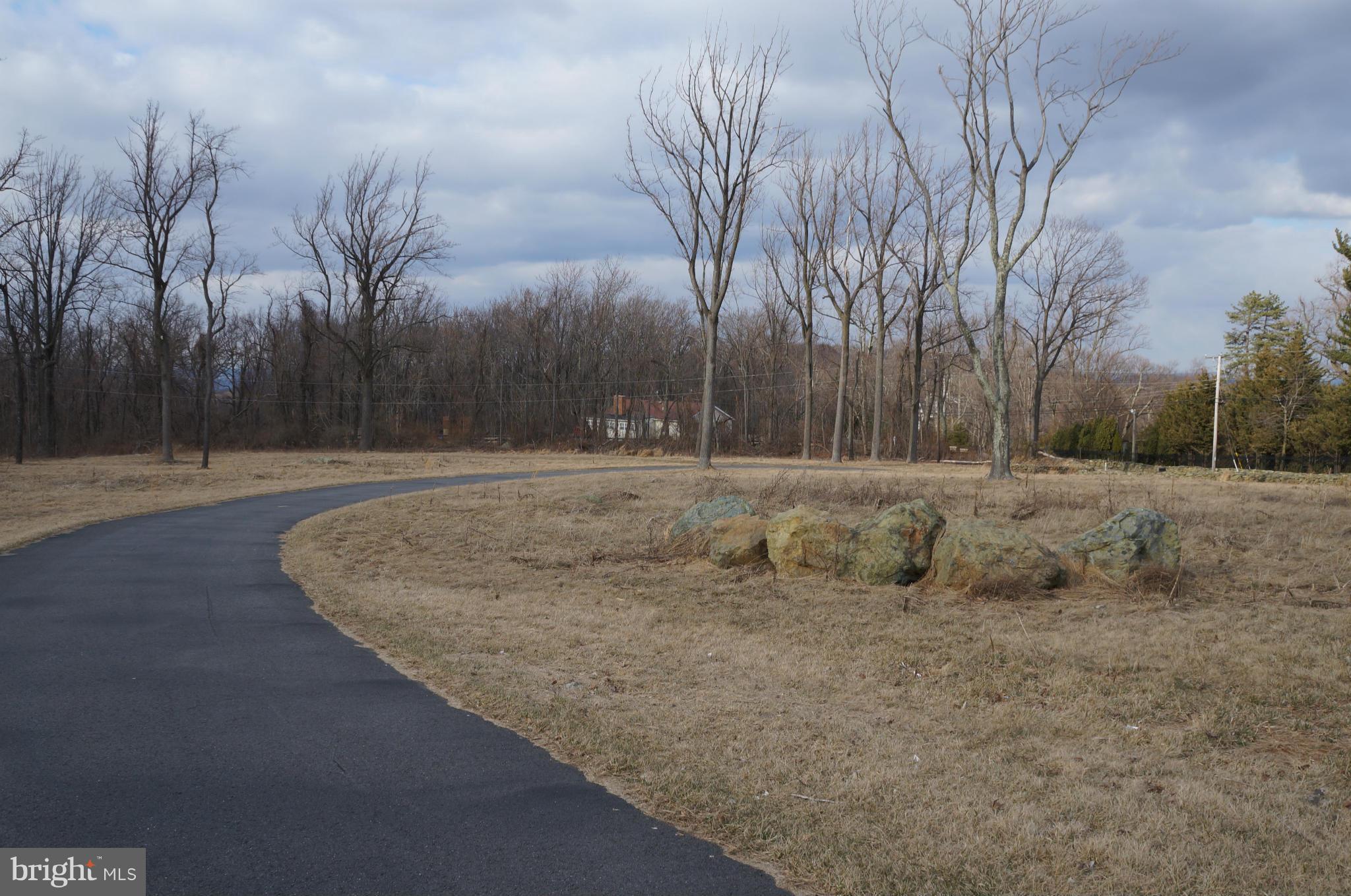 18521 Blue Ridge Mountain Road Bluemont, VA 20135 - Photo 5 of 30 View