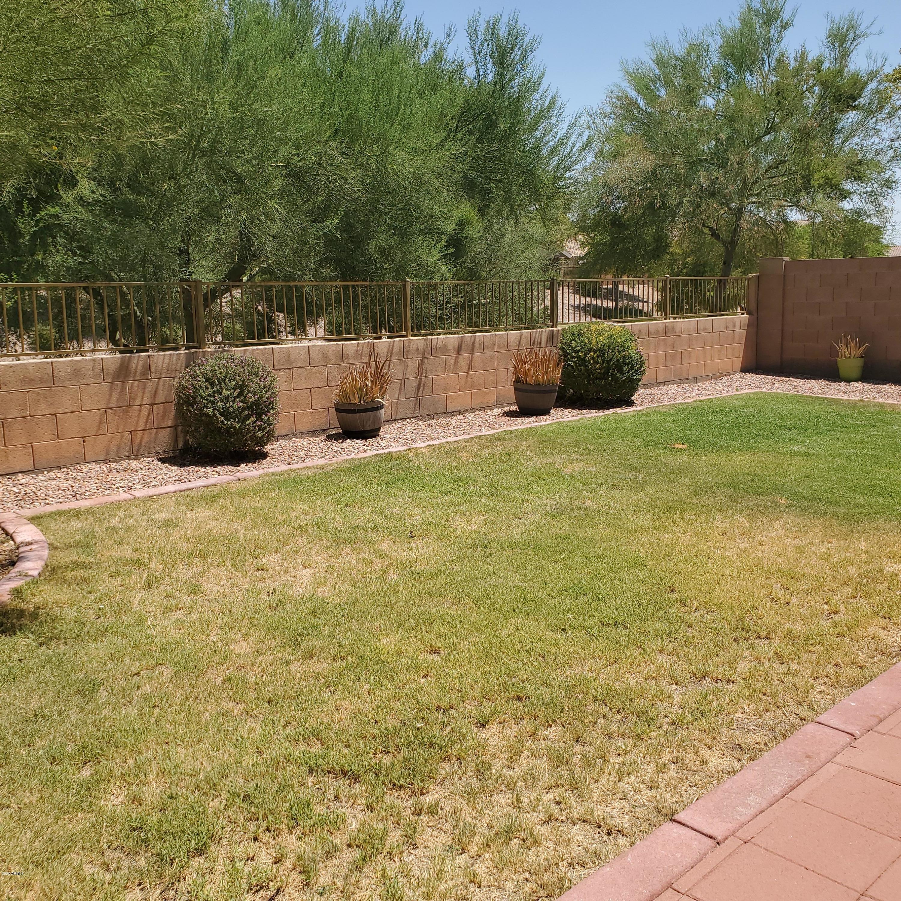 23740 West Pecan Road Buckeye, AZ 85326 - Photo 33 of 42 BACK YARD