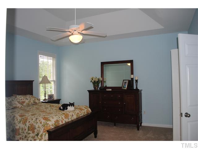 20 Sydenham Road Durham, NC 27713 - Photo 6 of 16 Large Master Bedroom with tray ceiling.