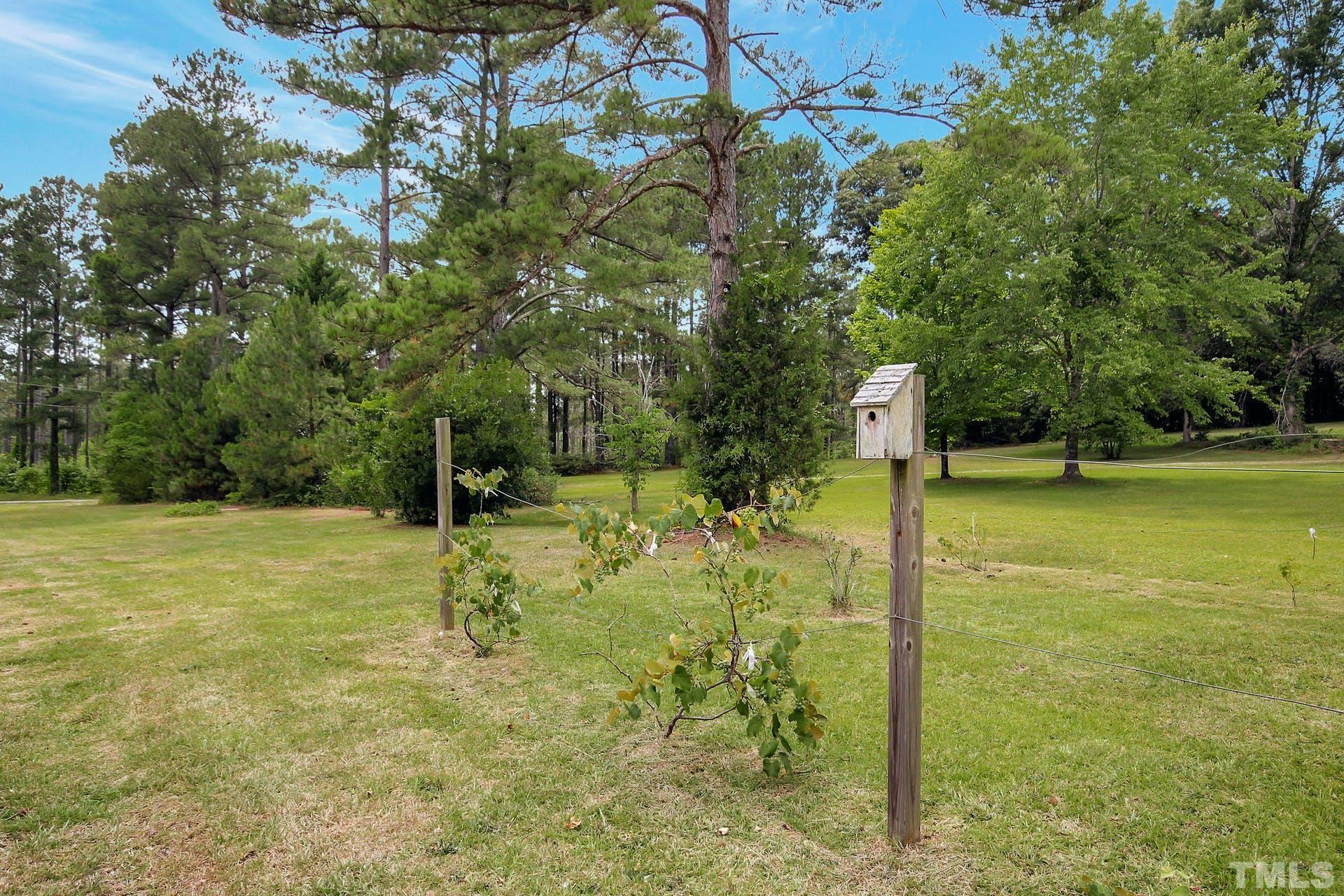 6754 Buffalo Road Selma, NC 27576 - Photo 42 of 45 Gallery Image 42