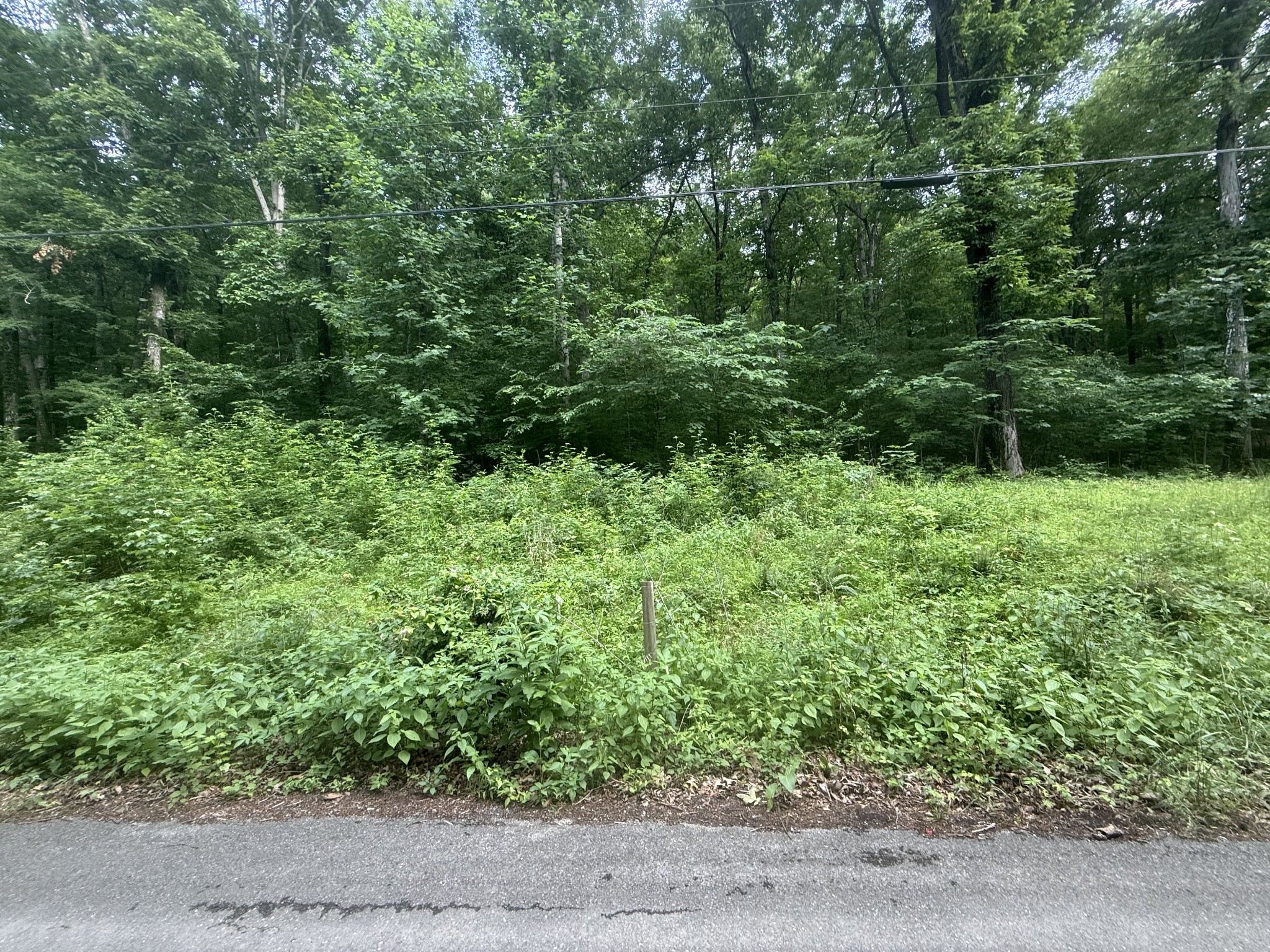 0 Caney Branch Road Stewart, TN 37175 - Photo 6 of 7 a view of a garden
