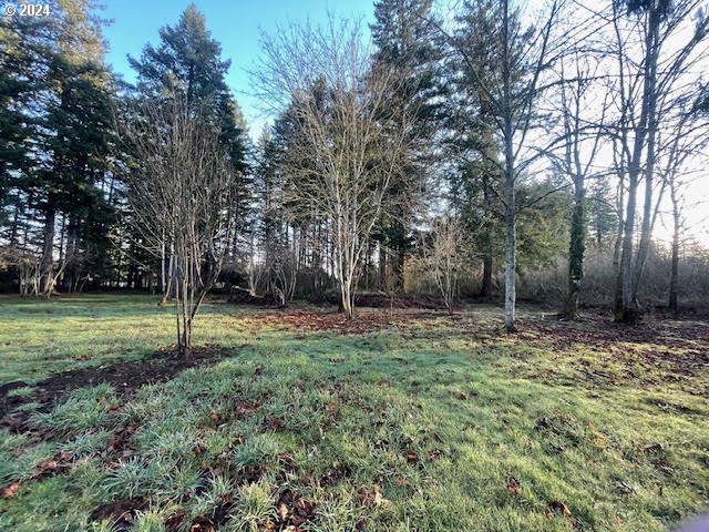 22370 South Bartholomew Road Estacada, OR 97023 - Photo 4 of 24 a view of a backyard with large trees