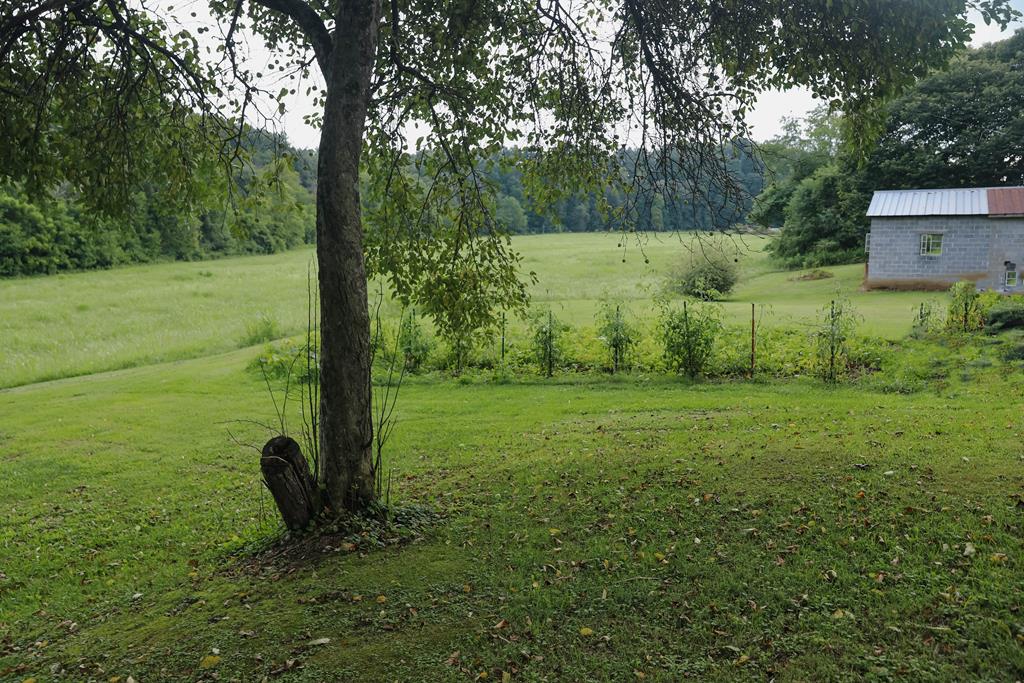 820 Loves Mill Road Chilhowie, VA 24319 - Photo 9 of 34 Gallery Image 9