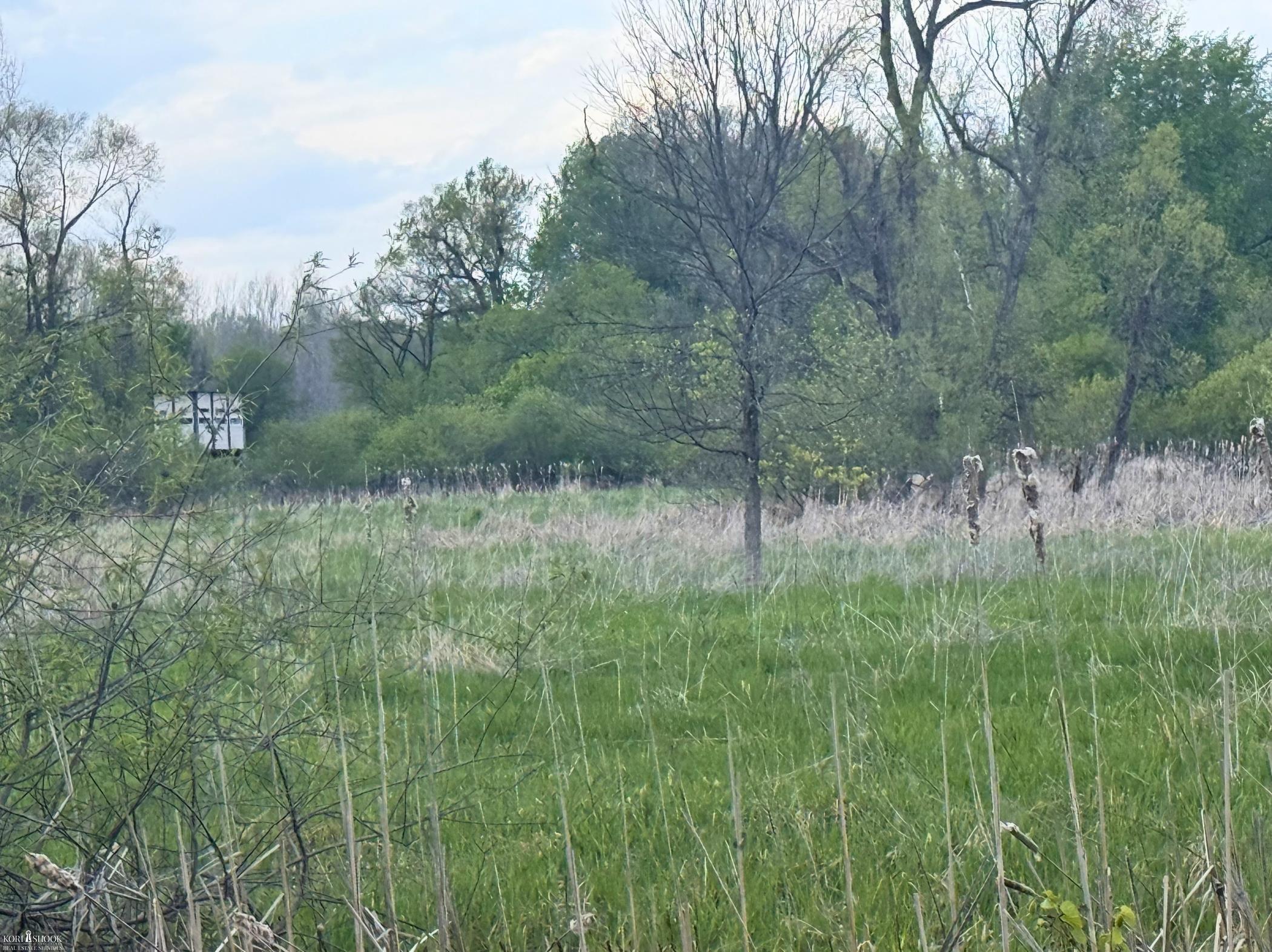 Vacant Land Tyrrell Road Owosso, MI 48867 - Photo 11 of 12