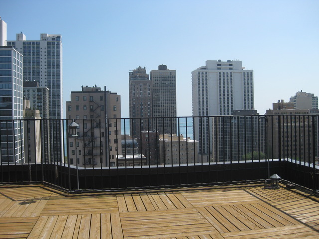 21 West Goethe Street, Unit 19C Chicago, IL 60610 - Photo 2 of 14 a view of city with tall buildings