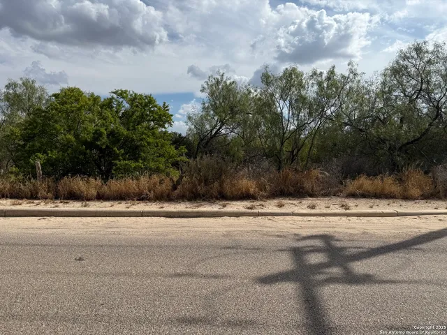 a view of a yard and street view
