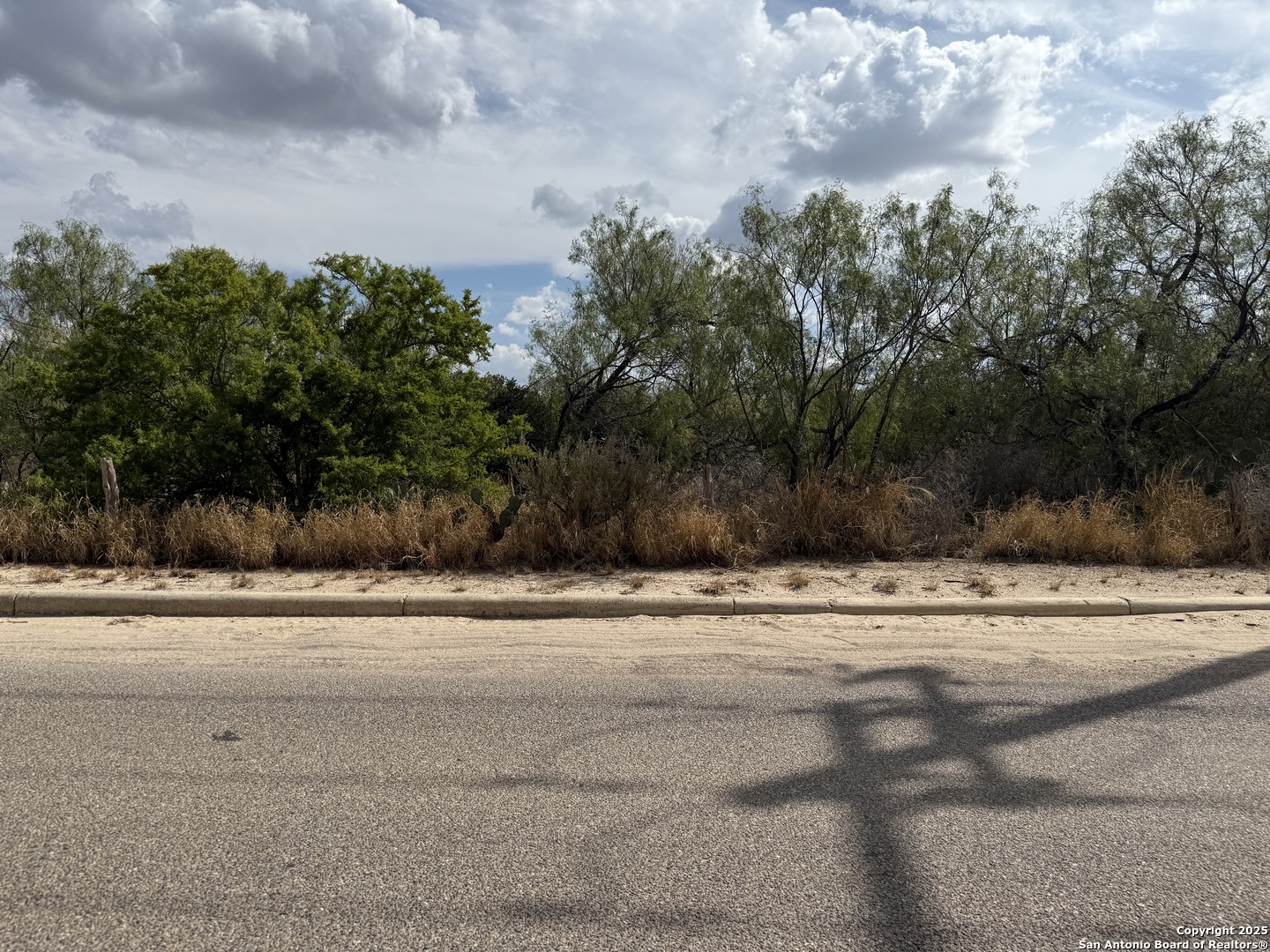 a view of a yard and street view