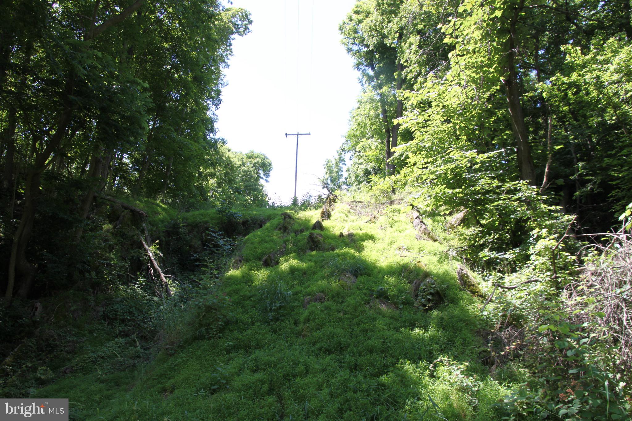 Vineyard Road, Unit 2 Falling Waters, WV 25419 - Photo 12 of 14 uphill of lot #3 and has the cave