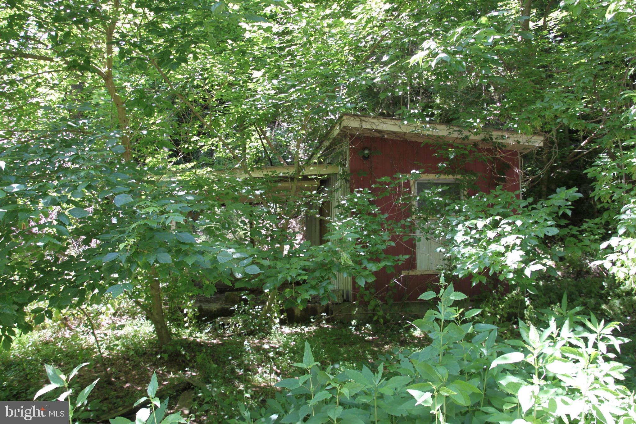 Vineyard Road, Unit 2 Falling Waters, WV 25419 - Photo 13 of 14 lot #3 with cabin