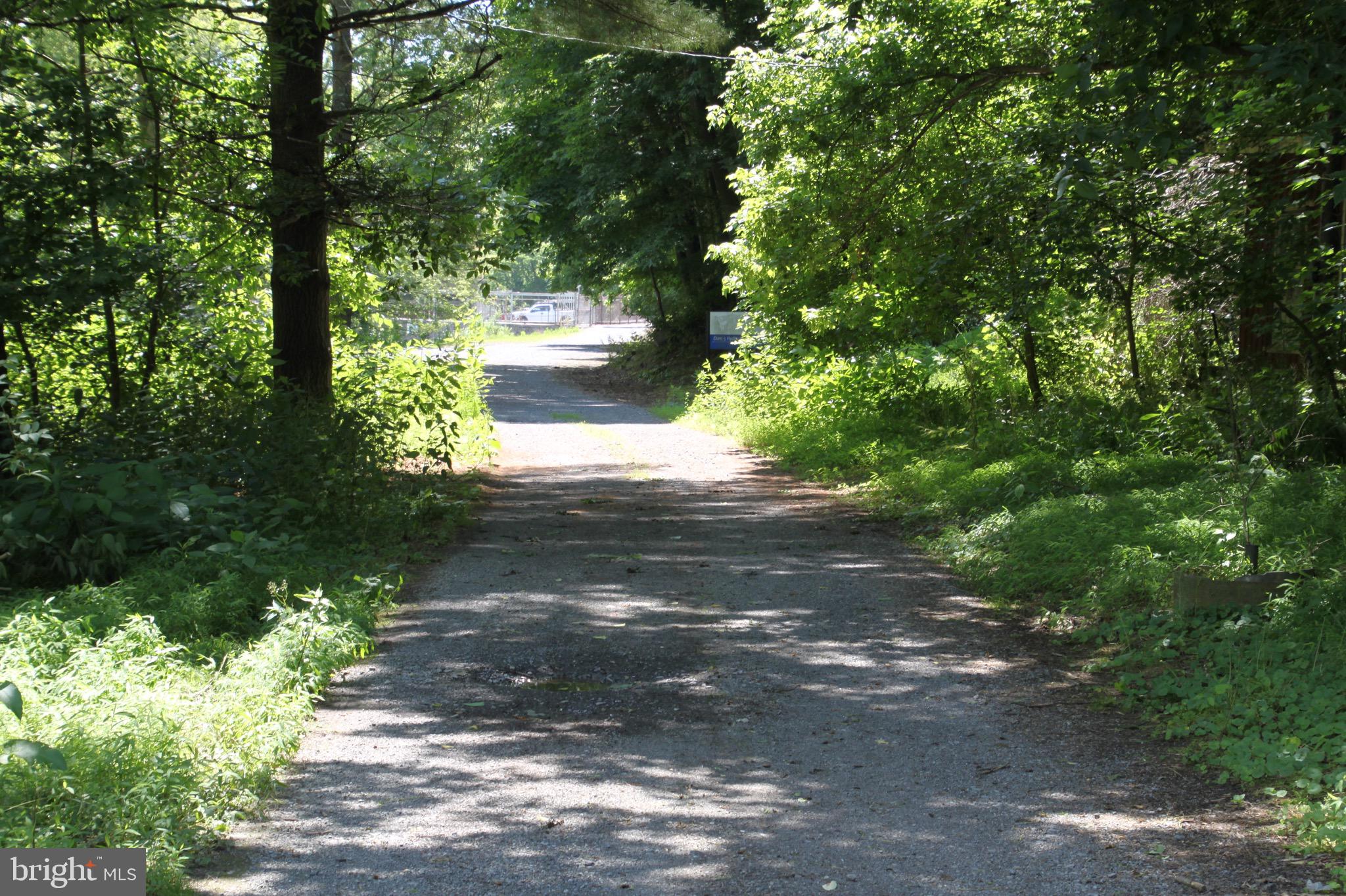 Vineyard Road, Unit 2 Falling Waters, WV 25419 - Photo 5 of 14 entrance lane to lots