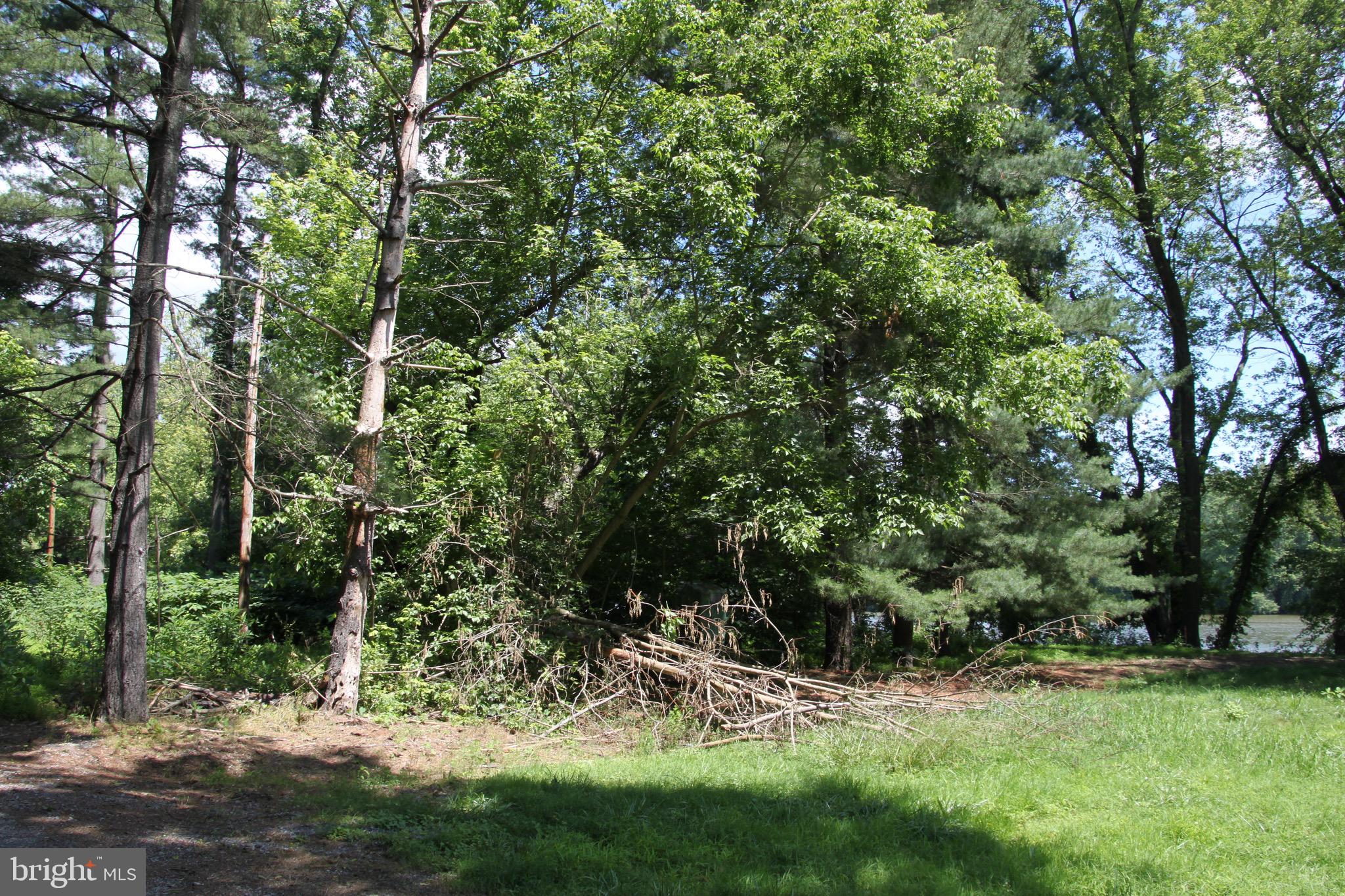 Vineyard Road, Unit 2 Falling Waters, WV 25419 - Photo 6 of 14 Potomac frontage