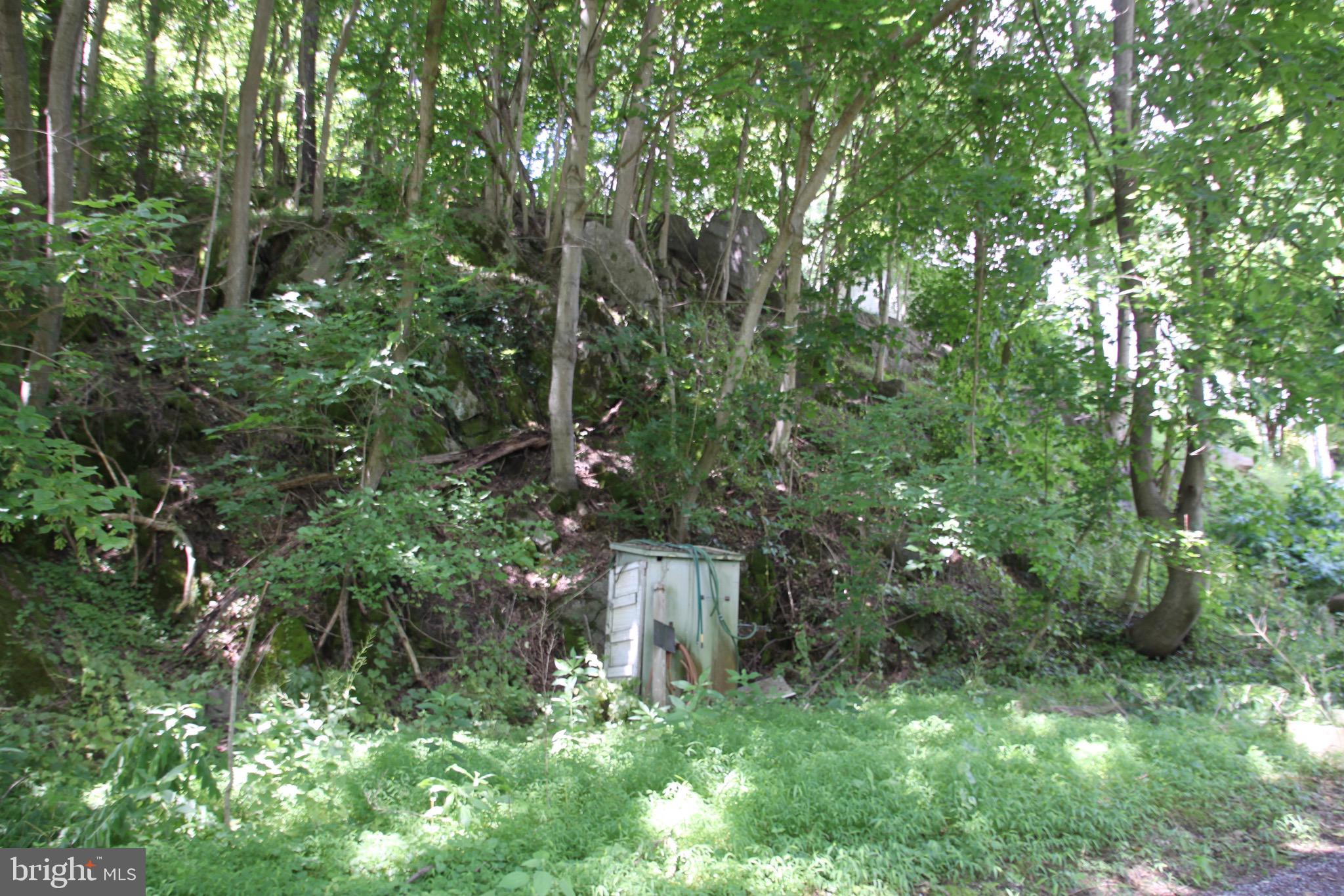 Vineyard Road, Unit 2 Falling Waters, WV 25419 - Photo 9 of 14 Lot #1 well