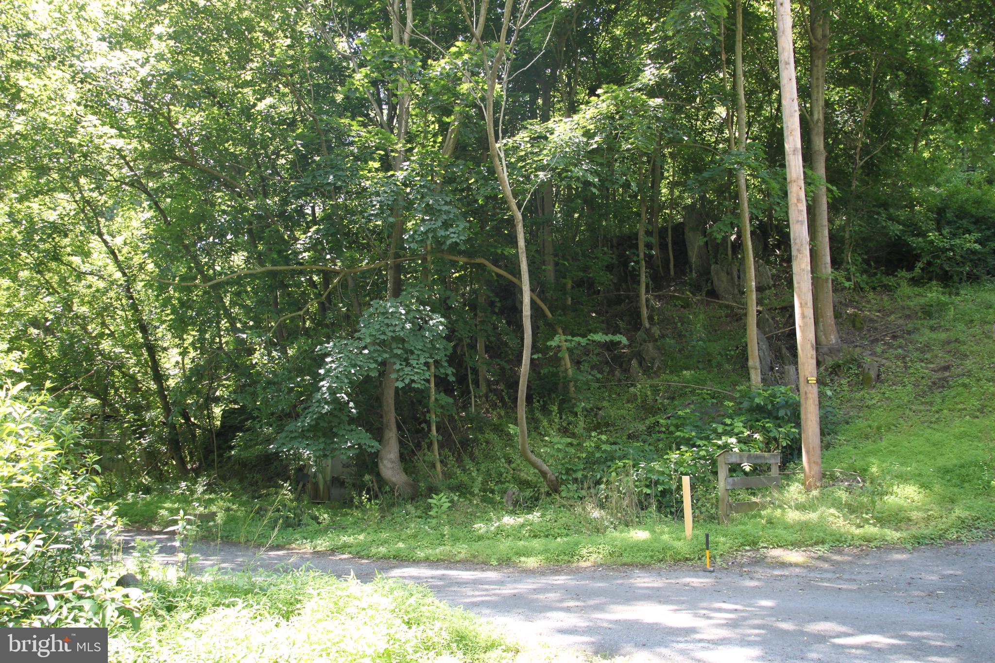 Vineyard Road, Unit 2 Falling Waters, WV 25419 - Photo 10 of 14 lot #1 & starts 8' to right of stake