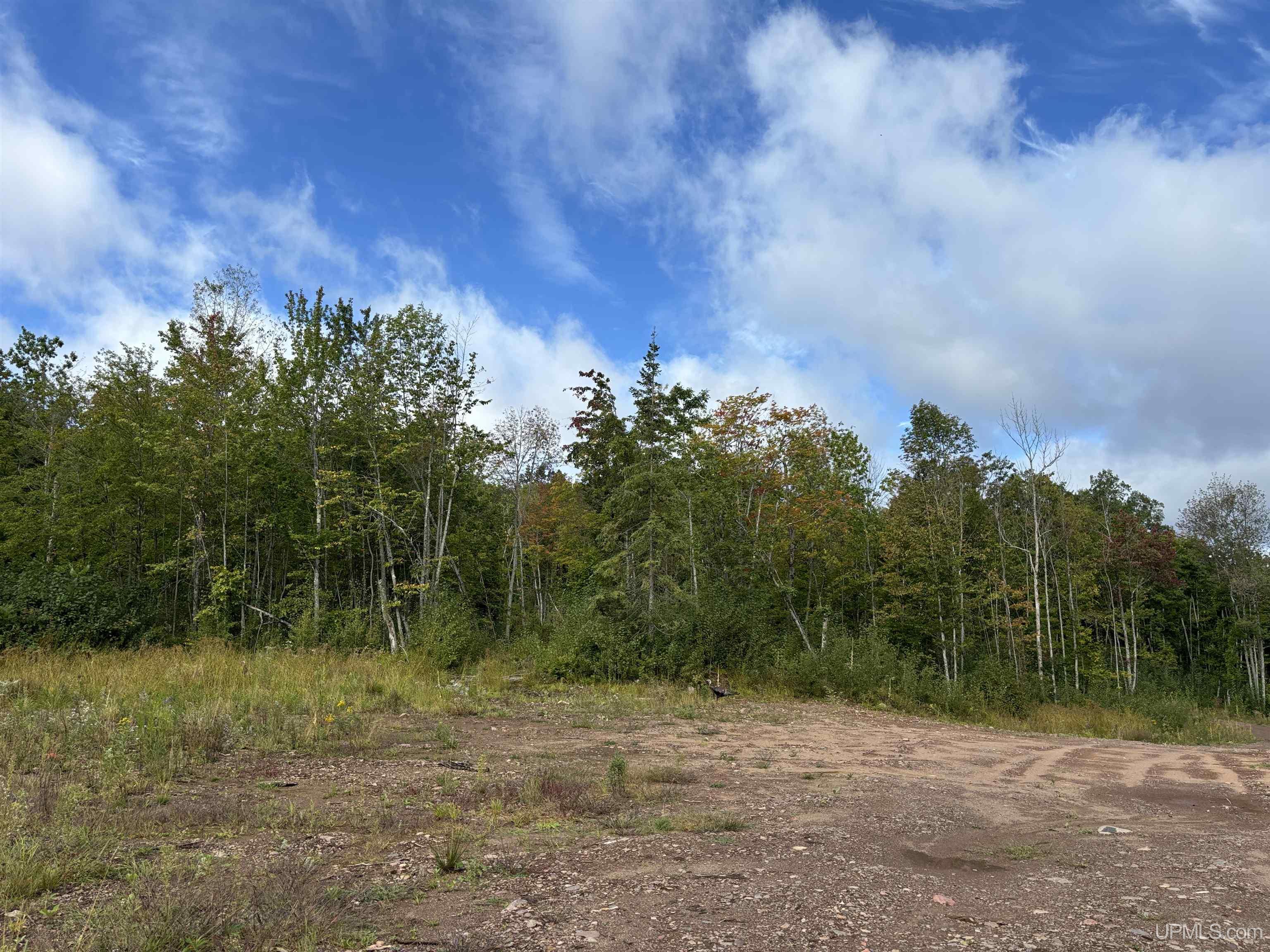 1 Koski Road Bessemer, MI 49911 - Photo 14 of 29