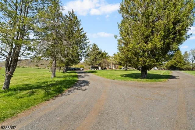 a view of green field with trees