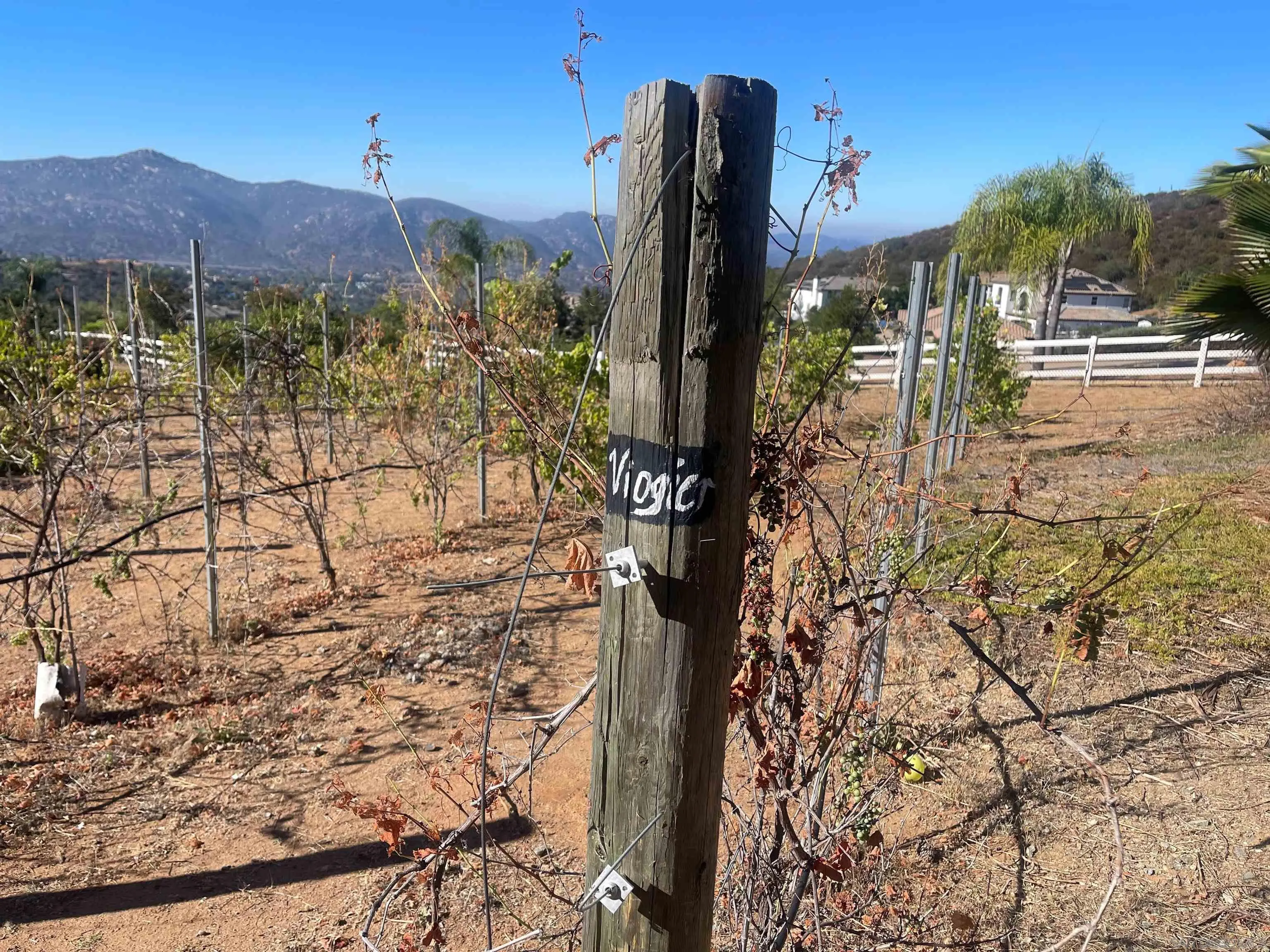 15068 Creek Hills Road El Cajon, CA 92021 - Photo 52 of 69